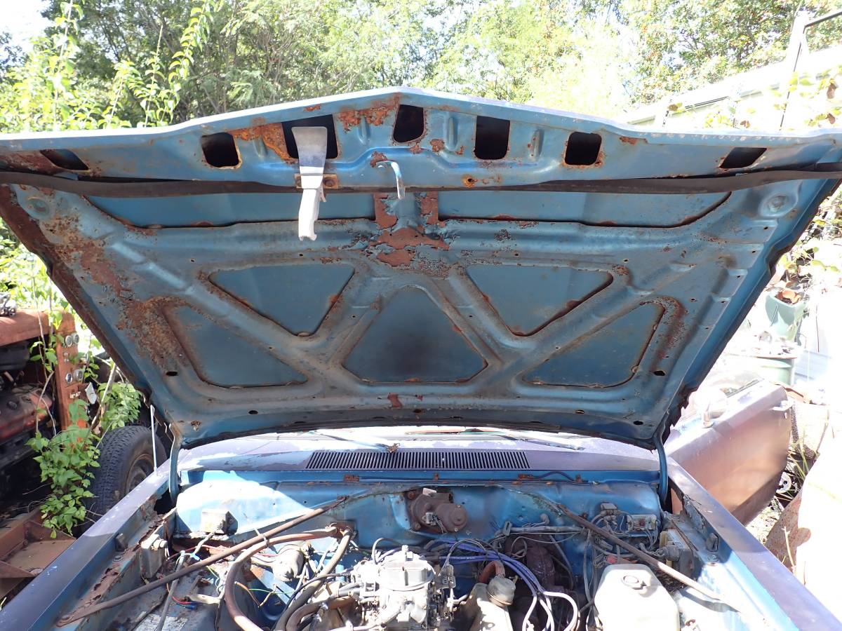Plymouth-svamp-1975-blue-18