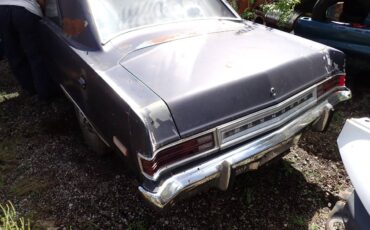 Plymouth-svamp-1975-blue-2