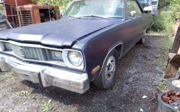 Plymouth-svamp-1975-blue-22
