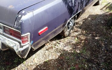 Plymouth-svamp-1975-blue-5