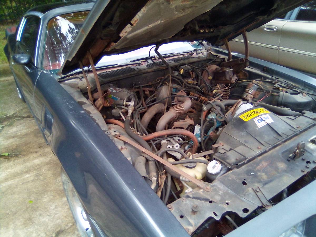 Pontiac-1980-grey-1