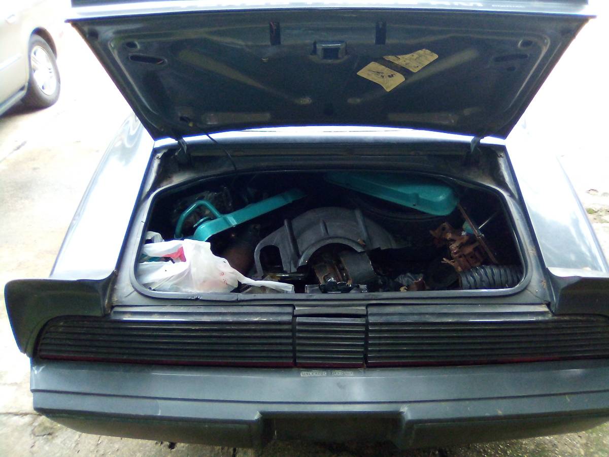 Pontiac-1980-grey-10