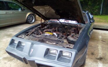 Pontiac-1980-grey-11
