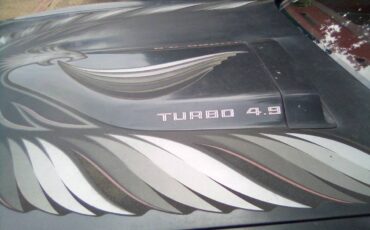 Pontiac-1980-grey-15