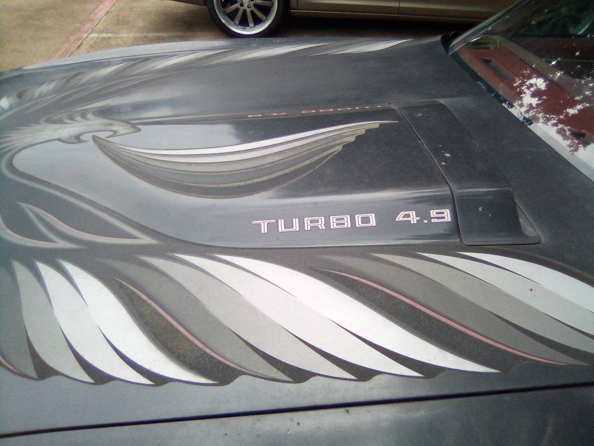 Pontiac-1980-grey-15