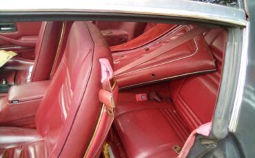 Pontiac-1980-grey-2