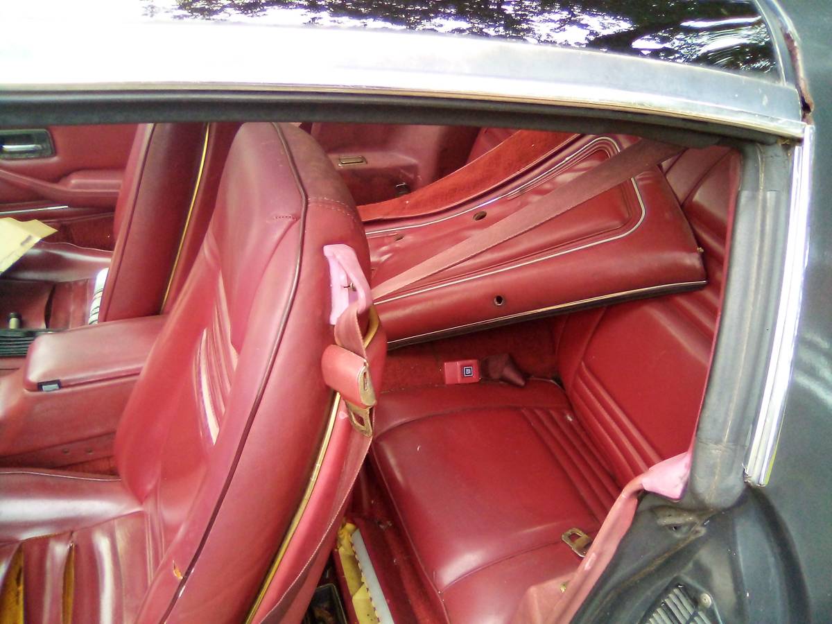 Pontiac-1980-grey-2