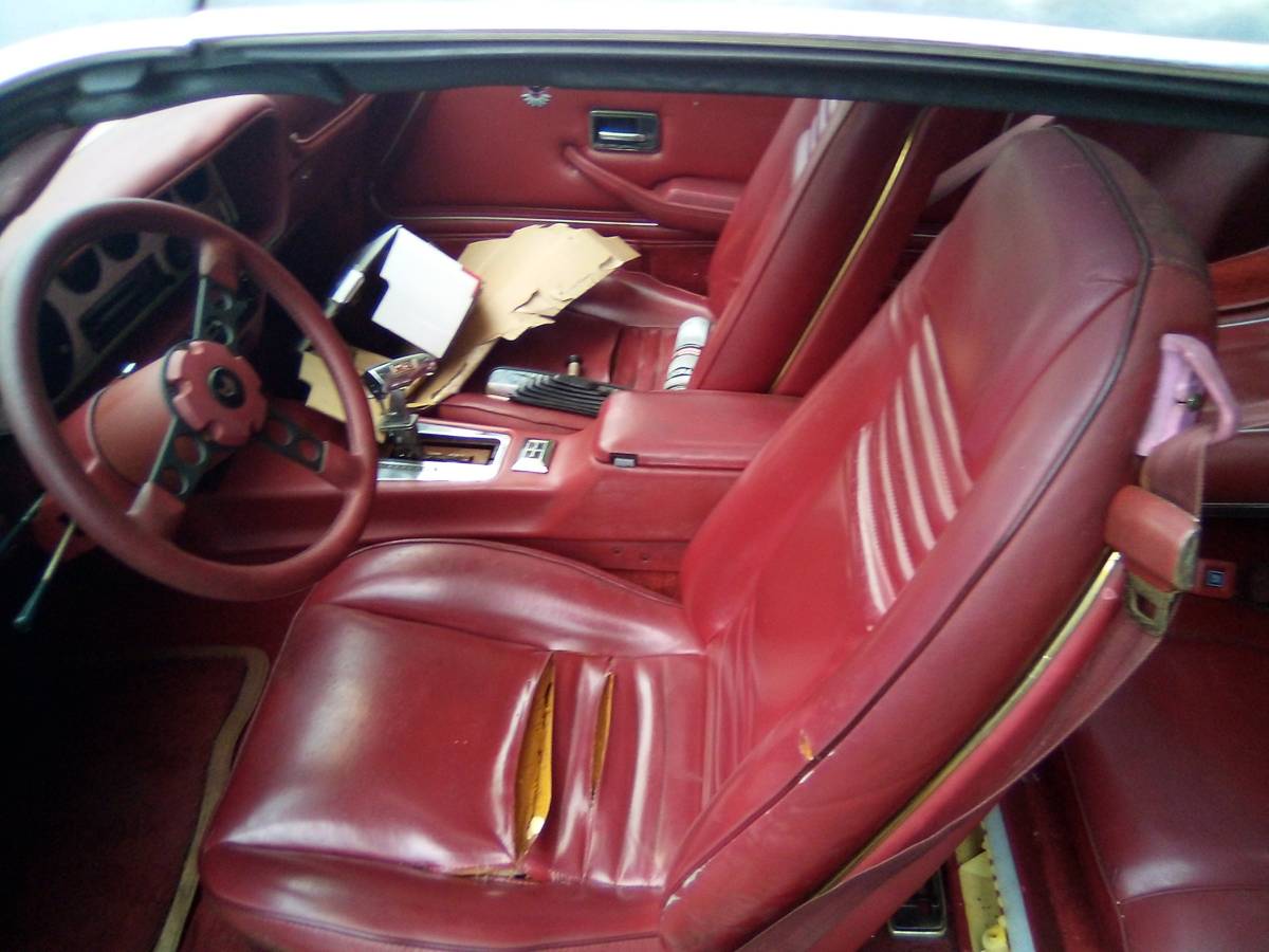 Pontiac-1980-grey-36