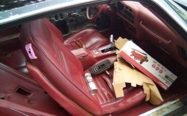 Pontiac-1980-grey-40