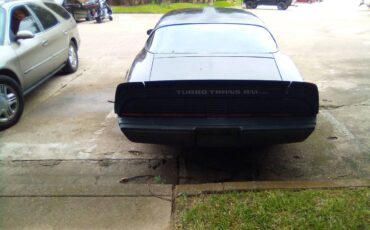 Pontiac-1980-grey-7
