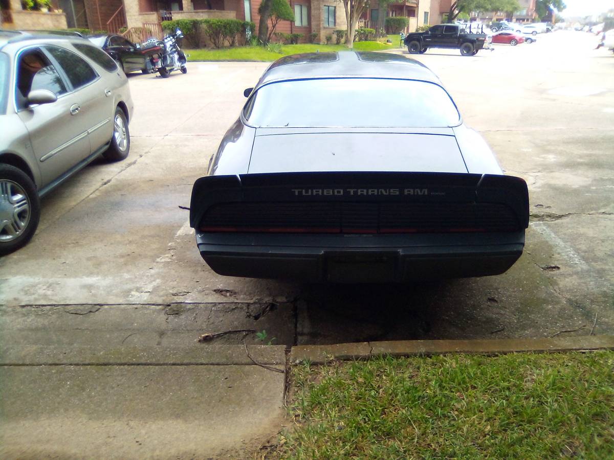 Pontiac-1980-grey-7