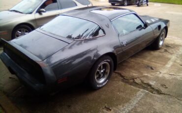 Pontiac-1980-grey-8