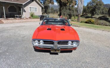 Pontiac-Firebird-1967-Red-Black-13