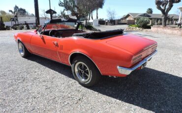 Pontiac-Firebird-1967-Red-Black-7