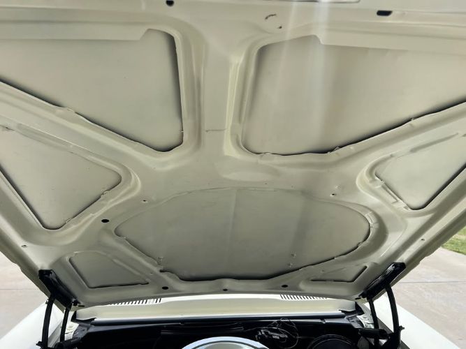 Pontiac-Firebird-1967-White-Black-5