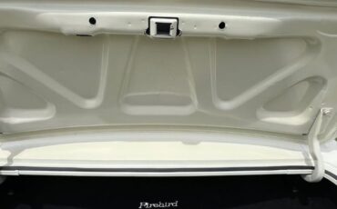 Pontiac-Firebird-1967-White-Black-8