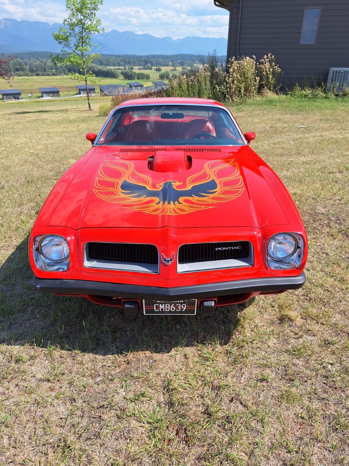 Pontiac-Firebird-1974-Coupe-1