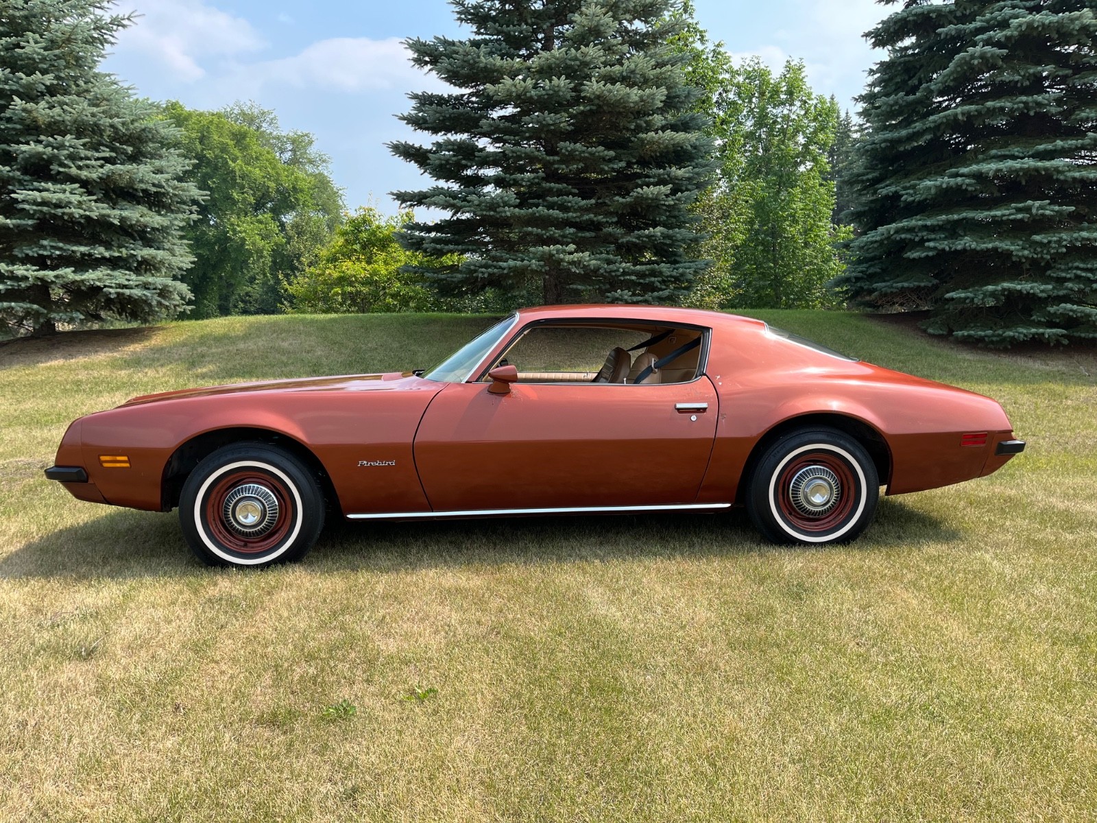 Pontiac-Firebird-1974-Coupe-1