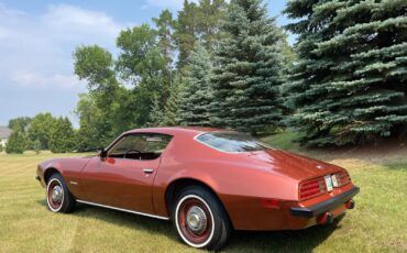 Pontiac-Firebird-1974-Coupe-2