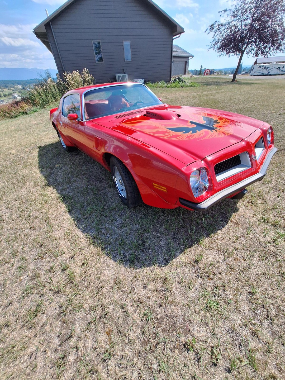Pontiac-Firebird-1974-Coupe-3