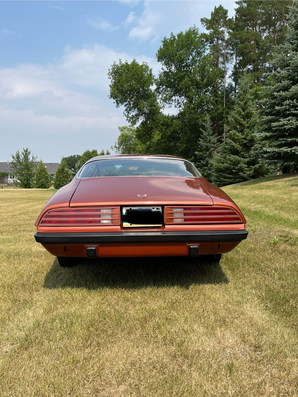 Pontiac-Firebird-1974-Coupe-3