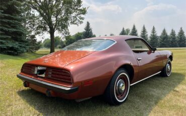 Pontiac-Firebird-1974-Coupe-4