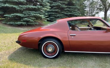 Pontiac-Firebird-1974-Coupe-5