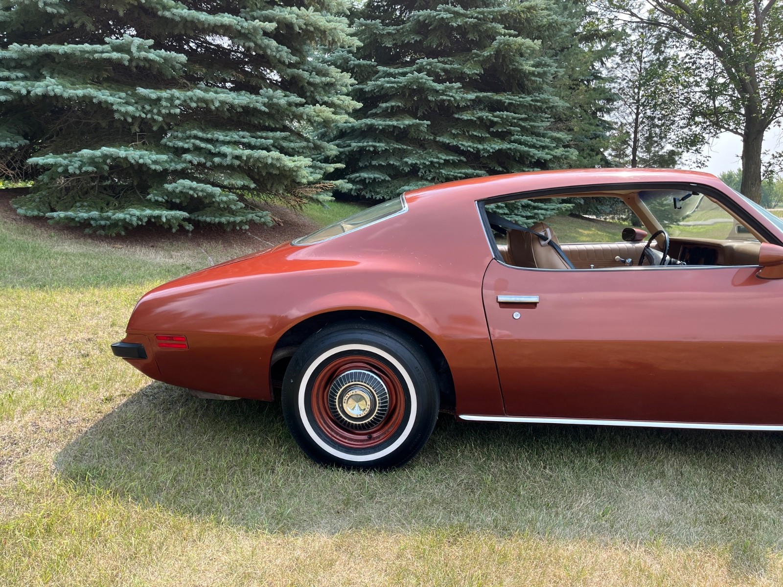 Pontiac-Firebird-1974-Coupe-5