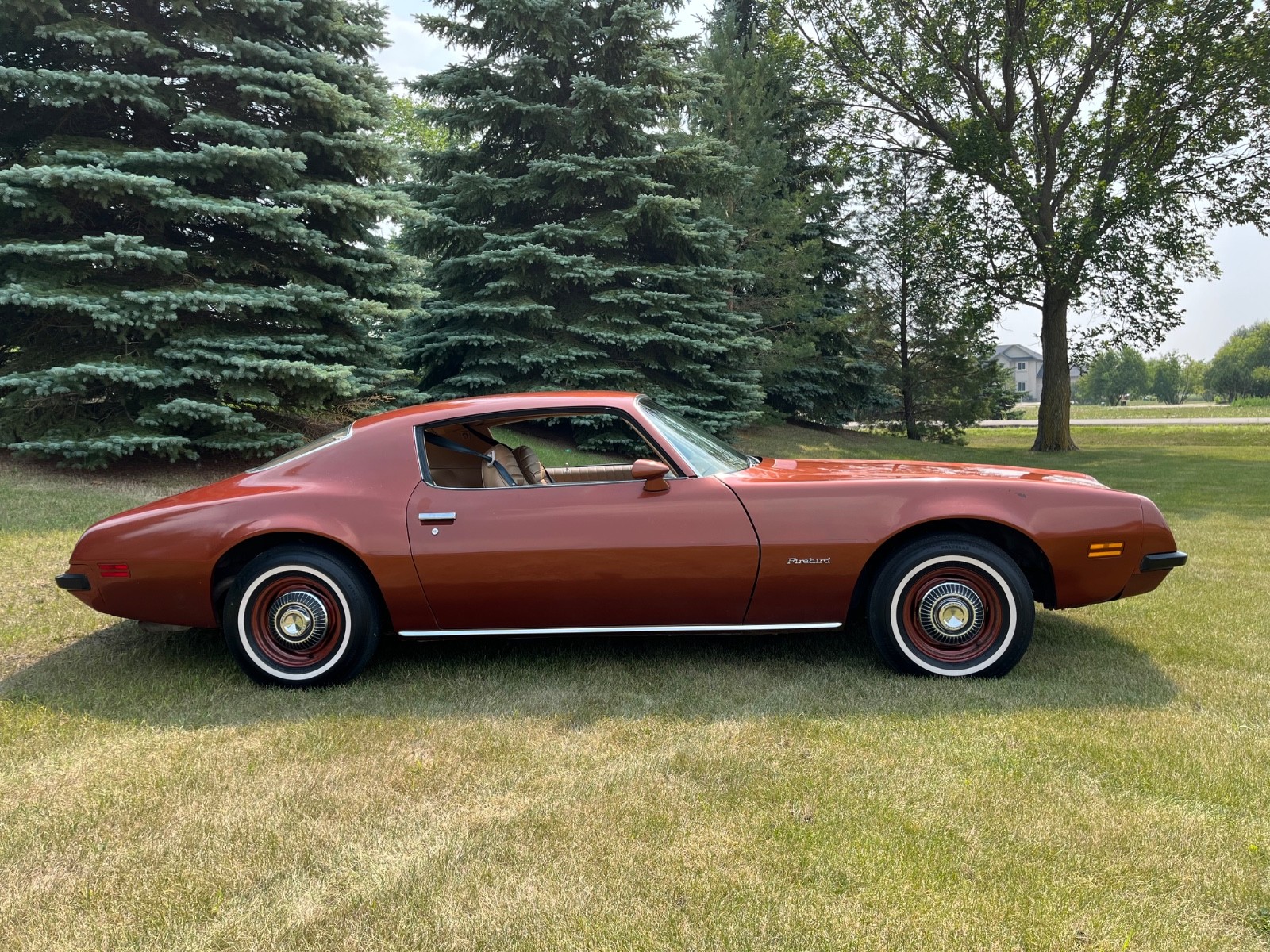 Pontiac-Firebird-1974-Coupe-6