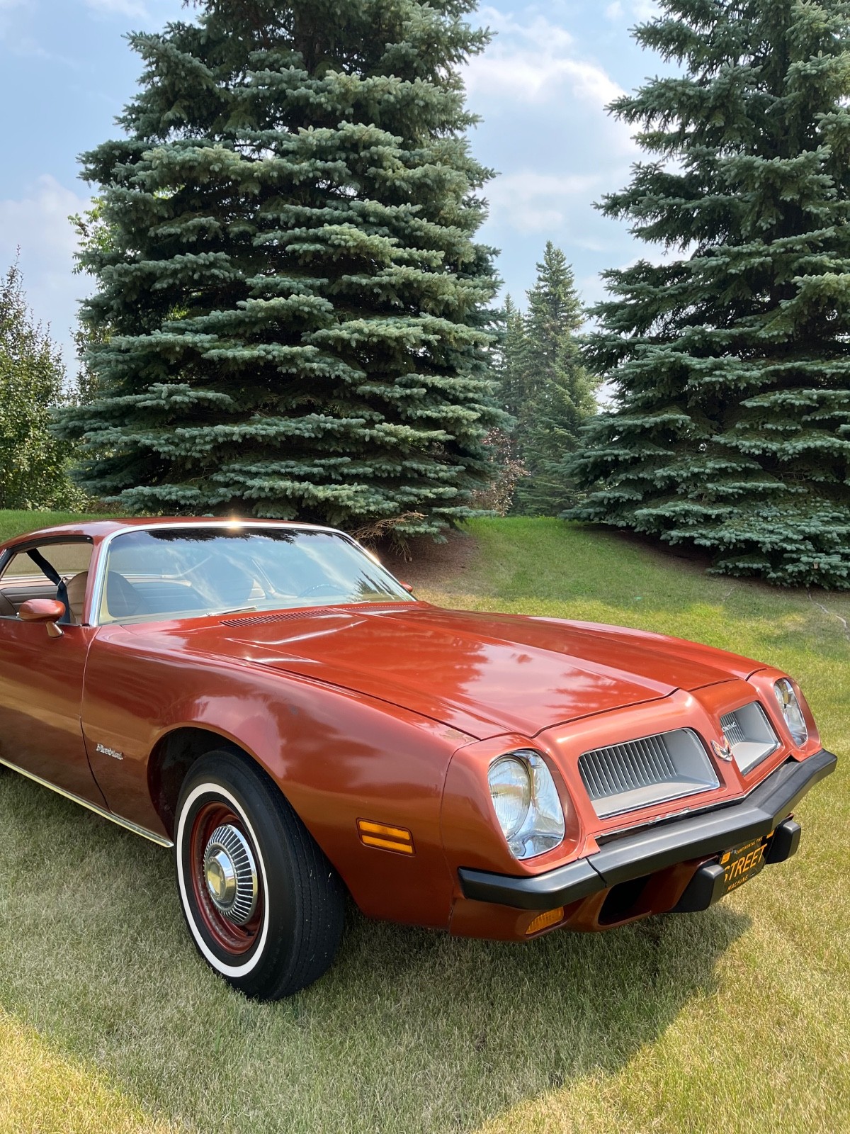 Pontiac-Firebird-1974-Coupe-7