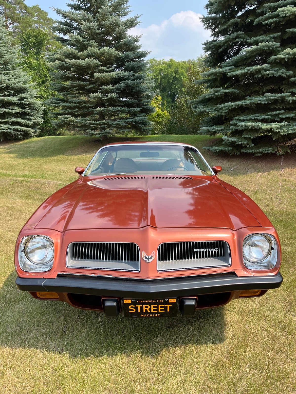 Pontiac-Firebird-1974-Coupe-8