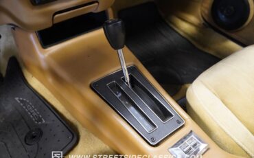 Pontiac-Firebird-1979-Starlight-Black-Camel-44