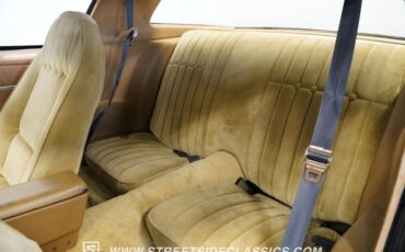 Pontiac-Firebird-1979-Starlight-Black-Camel-47