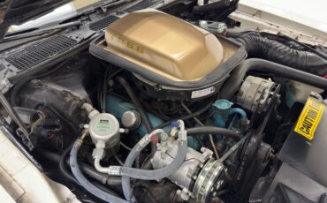 Pontiac-Firebird-1980-Cameo-White-Camel-29
