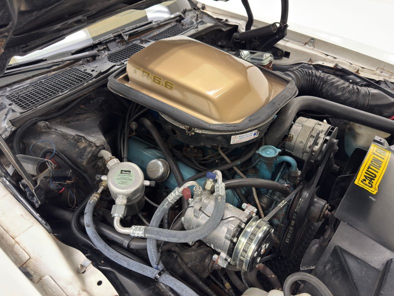 Pontiac-Firebird-1980-Cameo-White-Camel-29