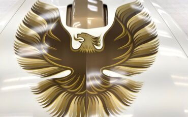 Pontiac-Firebird-1980-Cameo-White-Camel-3