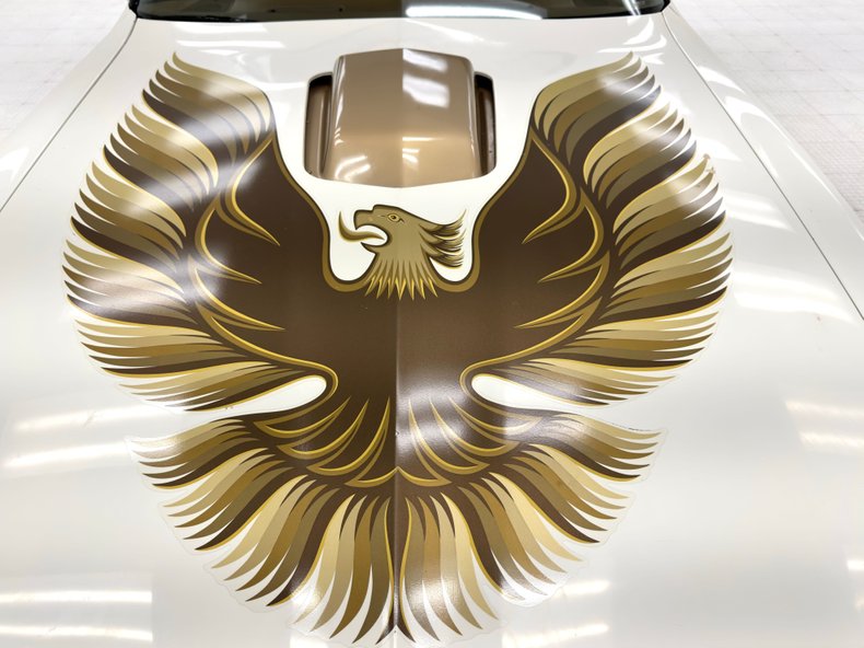 Pontiac-Firebird-1980-Cameo-White-Camel-3