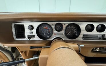 Pontiac-Firebird-1980-Cameo-White-Camel-41