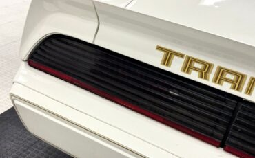 Pontiac-Firebird-1980-Cameo-White-Camel-46