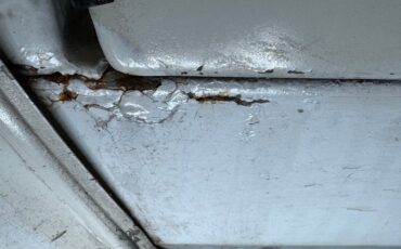 Pontiac-Firebird-1980-Cameo-White-Camel-47