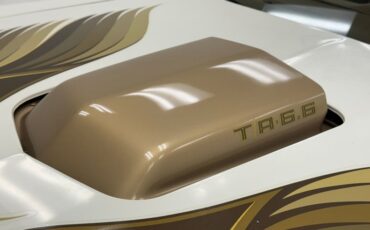 Pontiac-Firebird-1980-Cameo-White-Camel-5