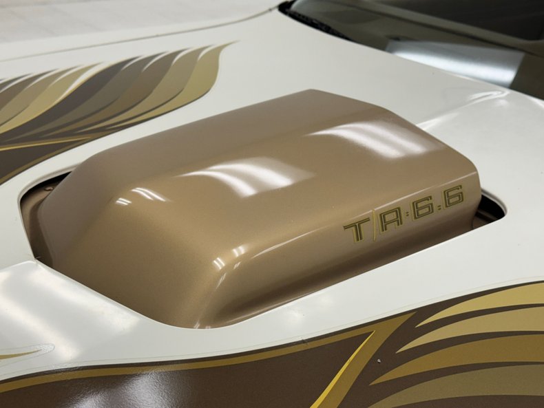 Pontiac-Firebird-1980-Cameo-White-Camel-5