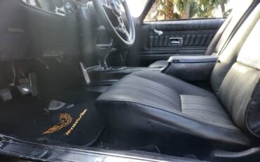 Pontiac-Firebird-1980-Coupe-18