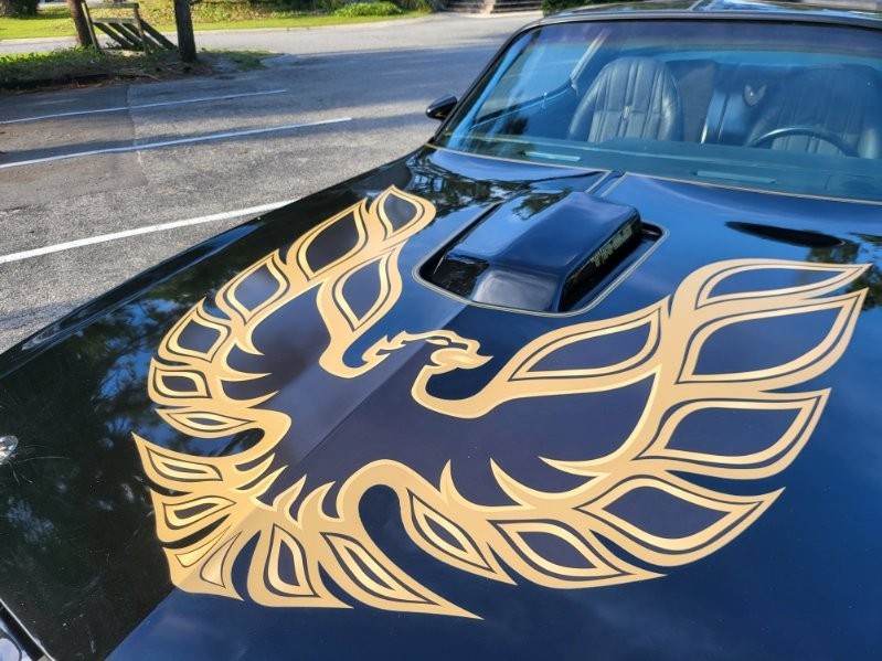 Pontiac Firebird 1980 Coupe