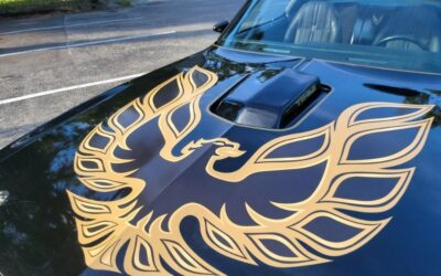 Pontiac Firebird 1980 Coupe