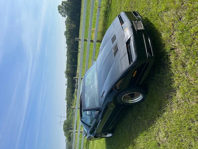 Pontiac-Firebird-1989-Black-Black-15