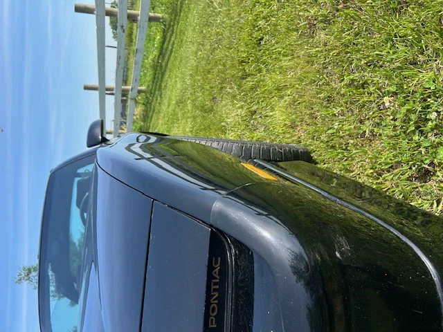Pontiac-Firebird-1989-Black-Black-16