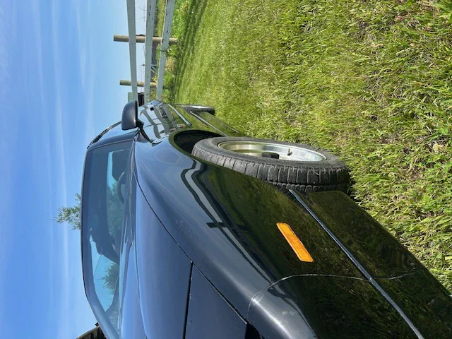 Pontiac-Firebird-1989-Black-Black-17