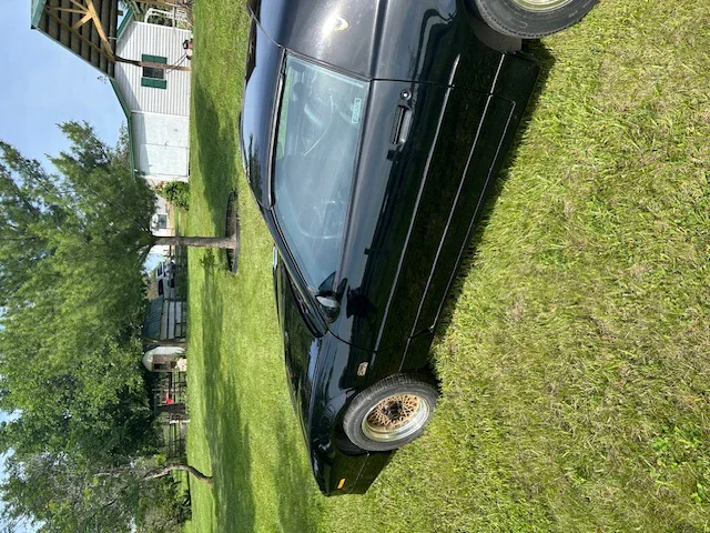 Pontiac-Firebird-1989-Black-Black-18