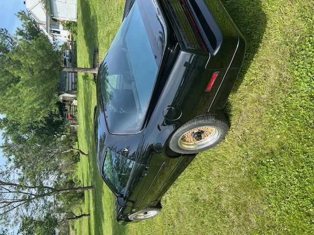 Pontiac-Firebird-1989-Black-Black-20